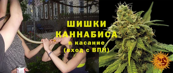 ПСИЛОЦИБИНОВЫЕ ГРИБЫ Арсеньев
